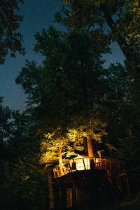 Fotografie z fotogalerie ubytování Treehouse Bojnice v Bojnici