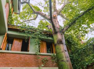 a tree in front of a brick building at OlasHostel in Mendoza +20 photos