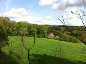 un champ vert avec une maison au loin dans l'établissement Nickhof B&B Resort, à Inzigkofen