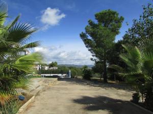 a dirt road with trees and a building in the distance at Villa Alare in Almodóvar del Río