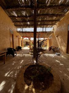 a tree in the middle of a building at Adrar AbreQ-Bet AlkaRam in Siwa +30 photos