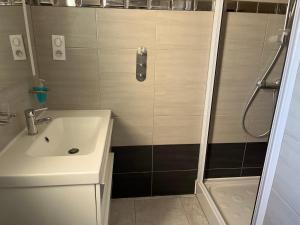 un baño con ducha y lavabo en Les hortensias, en Les Sables-dʼOlonne