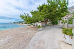 a tree on a sandy beach next to the ocean at Apartment Zvone in Sumpetar