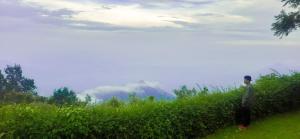 Gallery image of HappyHuts at Green valley view in Kodaikānāl +49 photos