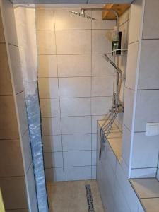 a shower with a glass door in a bathroom at Holiday House Ane in Sušanj +17 photos