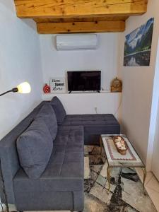 a living room with a couch and a fireplace at Holiday House Ane in Sušanj