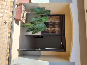 a plant sitting on a shelf in a window at Pearl Motel Wing in Mukono +20 photos