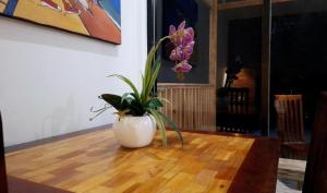 Fotografie z fotogalerie ubytování M E N T A R I hostel v destinaci Gili Gede