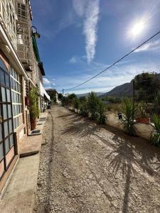 un camino de tierra junto a un edificio con plantas en Apartamento Carretera de la Sierra, en Granada