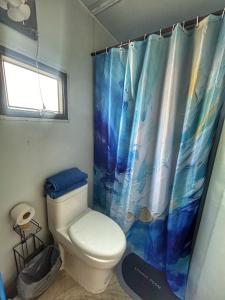 a bathroom with a toilet and a shower curtain at Casa Faro cerca de la playa in Barra de Navidad +35 photos