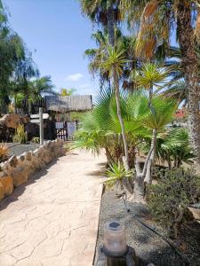 Vonkajšia záhrada v ubytovaní Casa Vacanza in Oasis Tamarindo