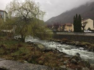 Príroda v okolí apartmánu
