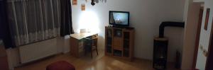 Televisyen dan/atau pusat hiburan di Apartment Bajt