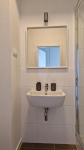 a bathroom with a sink and a mirror at Cozy one-room apartment with garage and AC in Bratislava +11 photos