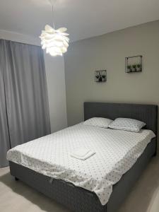 Ένα ή περισσότερα κρεβάτια σε δωμάτιο στο B&B Unicat +11 φωτογραφίες