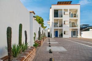 Un edificio con cactus frente a una calle. en Pineda Suite # 202 with parking and housekeeping, en La Paz