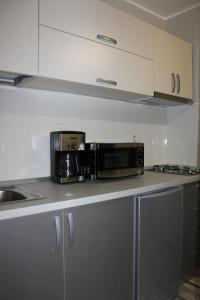a kitchen counter with a microwave and a sink at Studio Casa in Galaţi