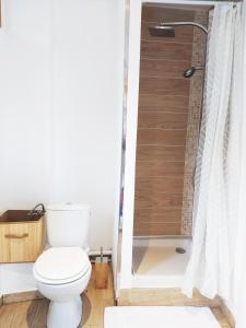 a bathroom with a toilet and a shower at Petit Nid Urbain Proche RER, 25min Paris Centre Chambre privée et SDB privée indépendante in Stains