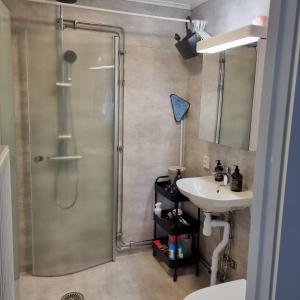 a bathroom with a shower and a sink at Stuga i Kristdala Oskarshamnsvägen 39 in Kristdala +25 photos