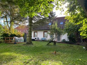a white house with a yard with a tree at Landurlaub Mecklenburgische Seenplatte bei Waren Müritz in Schwarzenhof