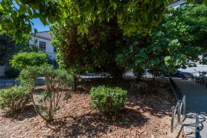 Zahrada ubytování Urban Chic Loft Malaga City Center