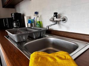 Kuchyň nebo kuchyňský kout v ubytování Pension FAULPELZ - Apartment mit Küche, Badewanne