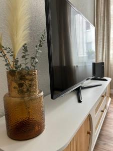 a vase sitting on top of a television on a counter at Modernes Apartment - Leipzig Alt-West in Leipzig