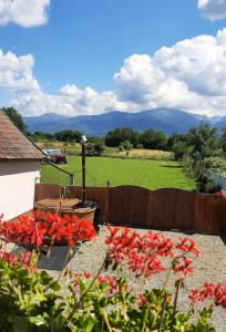 Billede fra billedgalleriet på Casa Monica i Drăguş