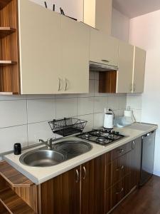 a kitchen with a sink and a stove at Apartament Popradzka Ostoja in Piwniczna-Zdroj