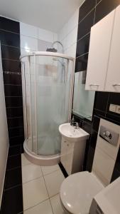a bathroom with a shower and a toilet and a sink at Apartament Popradzka Ostoja in Piwniczna-Zdroj