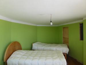 a green bedroom with two beds in it at Hostal Amanecer in Comunidad Yumani +24 photos