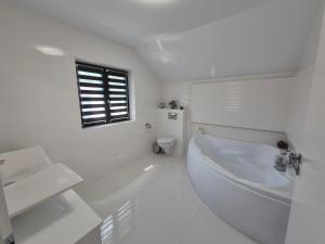 a white bathroom with a sink and a toilet at Vila Yolo Valea Avrigului in Porumbacu de Sus +29 photos