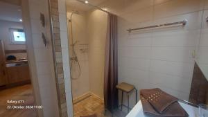 a bathroom with a shower with a glass door at Pfalz-Apartment Mein Chalet - Einzigartig in Großkarlbach in Großkarlbach