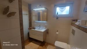 a bathroom with a sink and a toilet and a window at Pfalz-Apartment Mein Chalet - Einzigartig in Großkarlbach in Großkarlbach