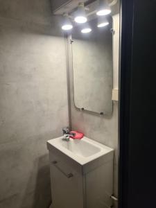 a bathroom with a sink and a mirror at Gite chez carole in Monthermé