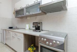 Kuchyňa alebo kuchynka v ubytovaní Apartment Zvone