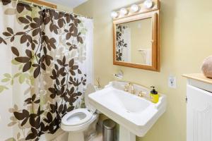 a bathroom with a sink and a toilet and a shower curtain at Lakefront with Lots of Light and Private Dock Access in Ferndale