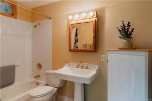 a bathroom with a white sink and a toilet at Lakefront with Lots of Light and Private Dock Access in Ferndale