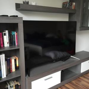 ein Entertainment-Center mit einem Flachbild-TV und Büchern in der Unterkunft City FEWO Leipzig in Leipzig