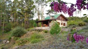 a small house on a hill with purple flowers at Cabaña villa alpina Mantillo de bosque in Villa Alpina