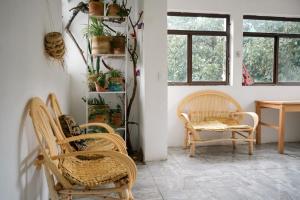 4 Elementos Hostal في سان خوان لاجونا: غرفة بها كراسي وطاولة ونوافذ