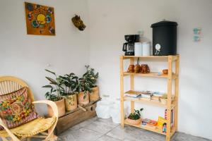 a room with a shelf with plants and a chair at 4 Elementos Hostal in San Juan La Laguna