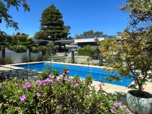 a swimming pool in front of a house with flowers at Happy Wanderer Motel Bendigo CHILDREN NOT PERMITTED over 18s only in Bendigo