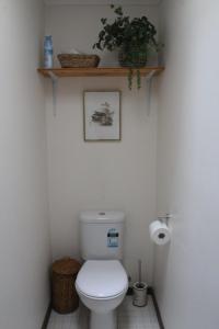 a bathroom with a toilet with a plant on the wall at Church St in Bright +3 photos