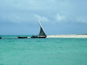 Foto dalla galleria di Princess Salme Inn a Zanzibar City