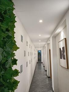 Fotografie z fotogalerie ubytování 372 Jingjing's Home Inn v destinaci Yongshun