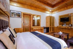 Μια τηλεόραση ή/και κέντρο ψυχαγωγίας στο Hotel Cherry Manali