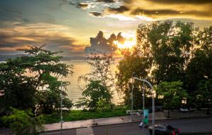 西哈努克Island View Hostel的树上和街道上一排的日落