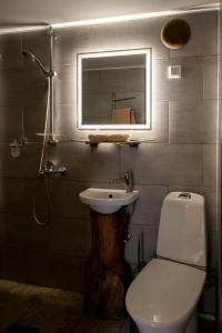 a bathroom with a sink and a toilet and a mirror at Heiniku Home in Elbiku