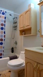 坎贝尔Private nicely decorated studio的配有马桶、水槽和淋浴的浴室